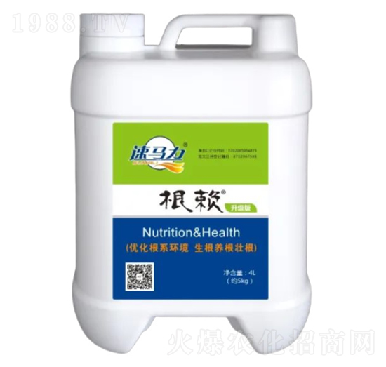 4L��ه-�а����r