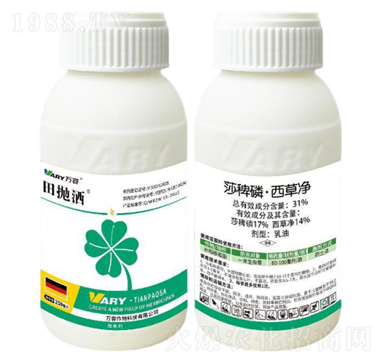 31%ɯ���ס����݃�250��-���-�f��