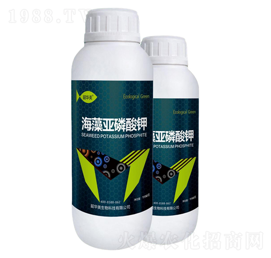 ���偆�����-���A��