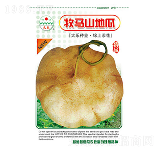 牧馬山地瓜-太樂種業(yè)