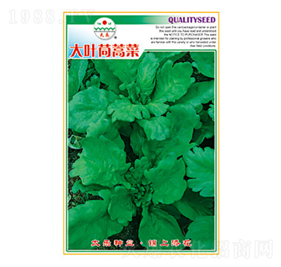 ����N��-���~�����-̫���N�I(y��)