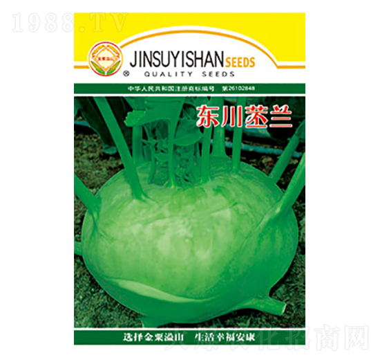 ���m�N��-�|�����m-̫��(l��)�N�I(y��)