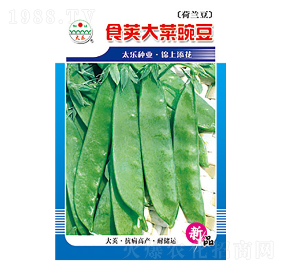 �㶹�N��-ʳ�v����㶹-̫���N�I(y��)