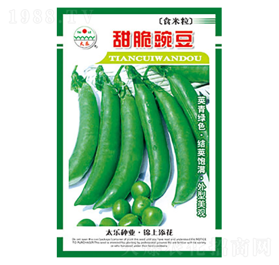 �㶹�N��-����㶹-̫��(l��)�N�I(y��)