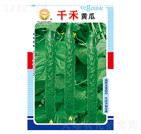 �S�ϷN��-ǧ���S��-̫��(l��)�N�I(y��)