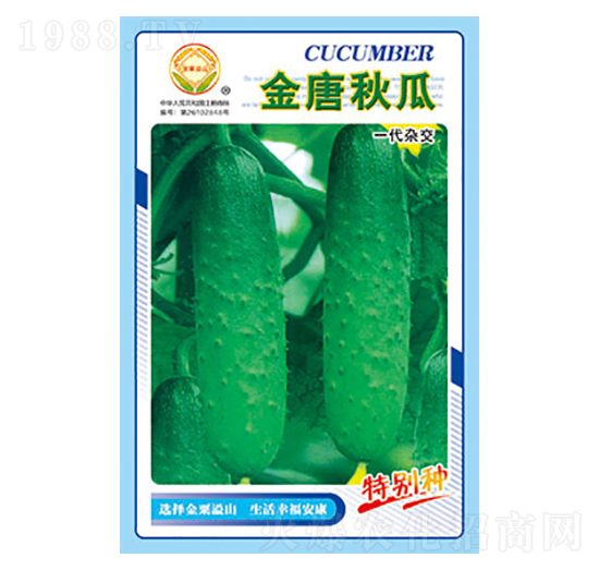 �S�ϷN��-�������-̫���N�I(y��)