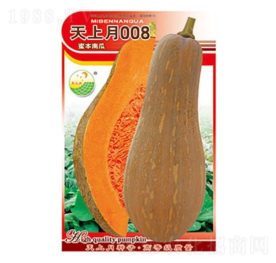 �ϹϷN��-������008-̫���N�I(y��)