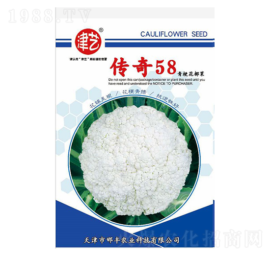 花菜種子-傳奇58-邯豐農(nóng)業(yè)