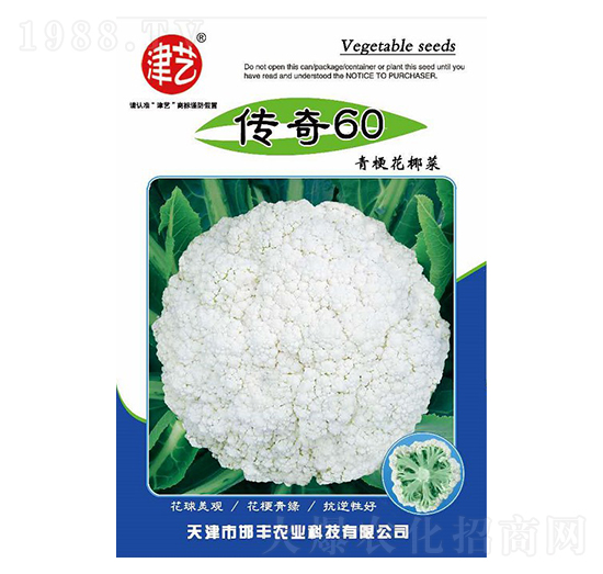 ���˷N��-����60-���S�r�I(y��)