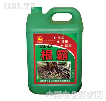 ��ɽ����-���ԛ_ʩ��