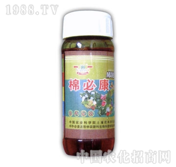 ��ɽ����-�ޱؿ�