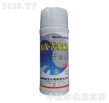 ��������-����