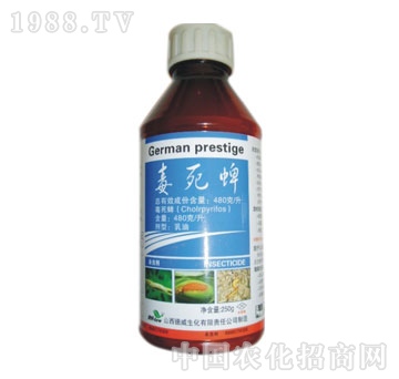 ��������-����������