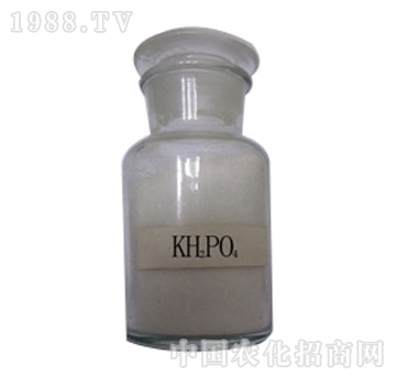 �Õr��-��������