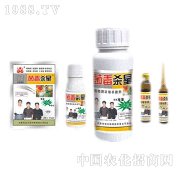 ���\(ch��ng)-��������