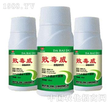 �°��r(n��ng)��-������