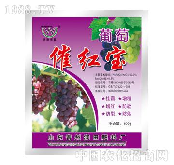 潤(rùn)田-葡萄催紅寶