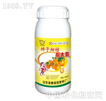 潤田-柿子柑橘膨大素