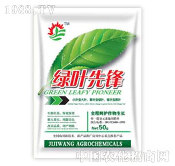 季季旺-綠葉先鋒