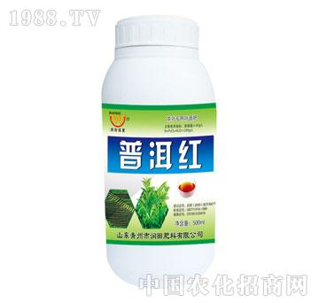 潤田-普洱紅