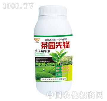 潤(rùn)田-茶園先鋒