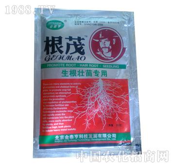 ��̩��-��ï