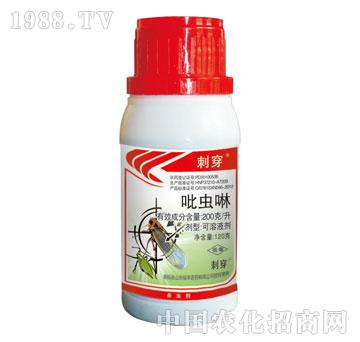 綠豐-刺穿-吡蟲啉
