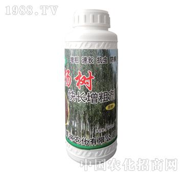 ��ɽ����-�����L���ք�