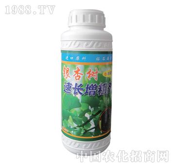 ��ɽ����-�y�Ә����L���ք���ƿ��