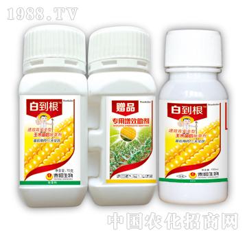 �׵���-̩�(y��ng)