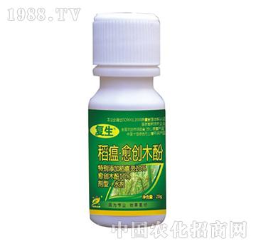 ��������(chu��ng)ľ��-����-˼�h����