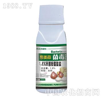 1.8%�����������}-�������[����-˼�h����