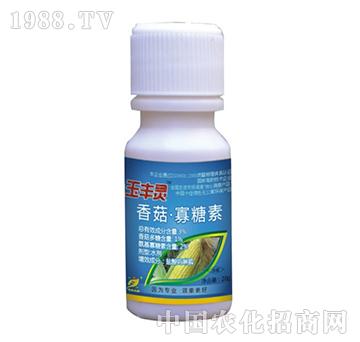 3%�㹽������-���S�`-˼�h����