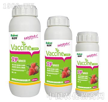 艾護植物疫苗草莓專用-銳邁特