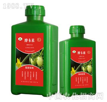 ������������������Һ��