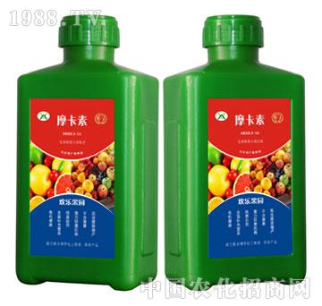 �g�����@����������Һ��