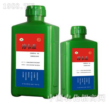 ����������Һ�ķ�-Ħ��