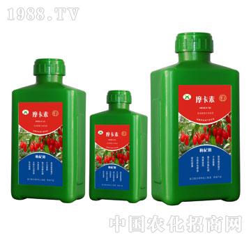 ��轌��ð���������Һ��