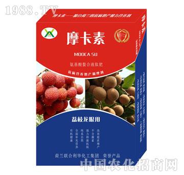 ��֦���ی��ð���������Һ�ķ�-Ħ����-��(qi��ng)о��(gu��)�H