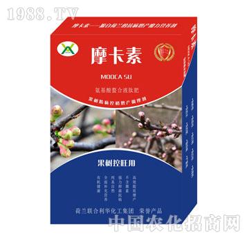 ����������ð���������Һ�ķ�-Ħ����-��(qi��ng)о���H