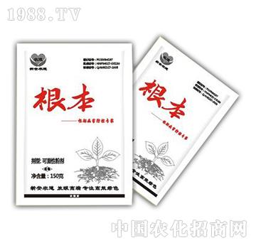 ����-�°��r��