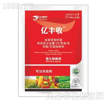 ��(zhu��n)��̿�Ҳ�-�|�S��-����̩