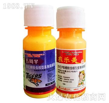 棉鈴蟲核型多角體病毒-五周半+農(nóng)樂美-凱瑞克