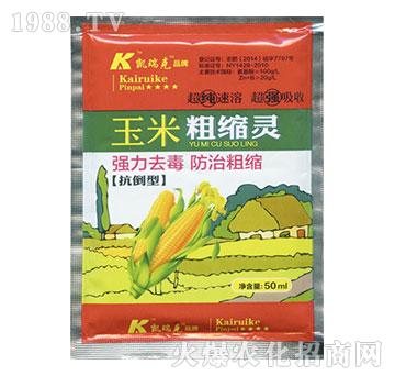 玉米粗縮靈-凱瑞克