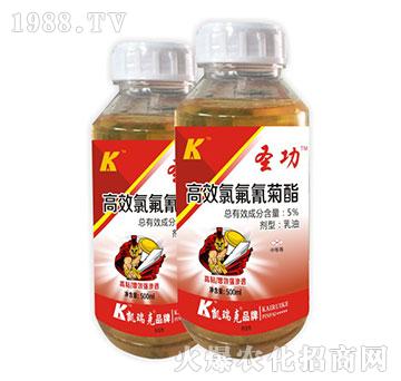 5%高效氯氟氰菊酯-圣功-凱瑞克