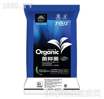 �Űك|-���־������ЙC(j��)��-����