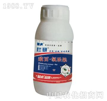 ����������-�r��-���_����