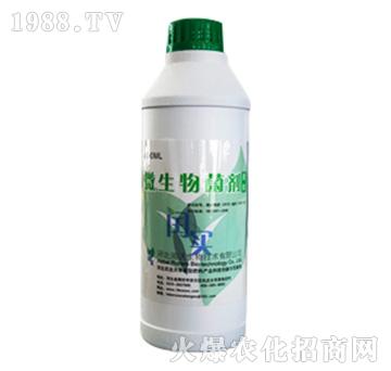 ΢�������-�c��-�c��