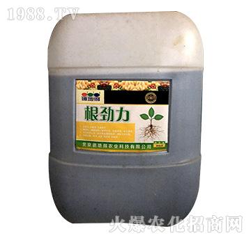 ������-�µص�