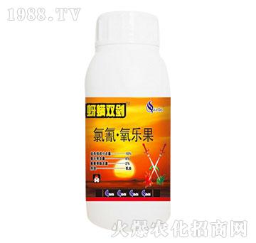 10%����������-�����p��-�읙����